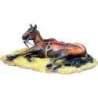 Wounded horse