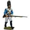 Irlanda regiment grenadier advancing