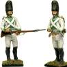 Granadero 2 regimiento infantería Zaragoza 1808