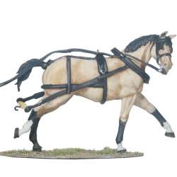 Draft horse 3