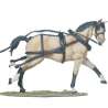 Caballo diligencia 3