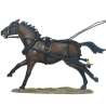 Caballo diligencia 4