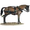 Stagecoach horse 4