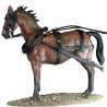 Caballo diligencia 3