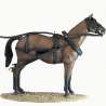 Stagecoach horse 1