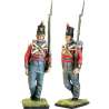 Royal Newfoundland fencibles regiment Canada 1812 Suboficial
