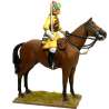 First Officer Bengal Lancers Skinner´s horse 1900