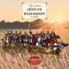 French 4th Hussar Regiment 12 horses