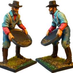 The gold Rush