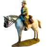 Theodore Roosevelt President United States of America|toy soldier
