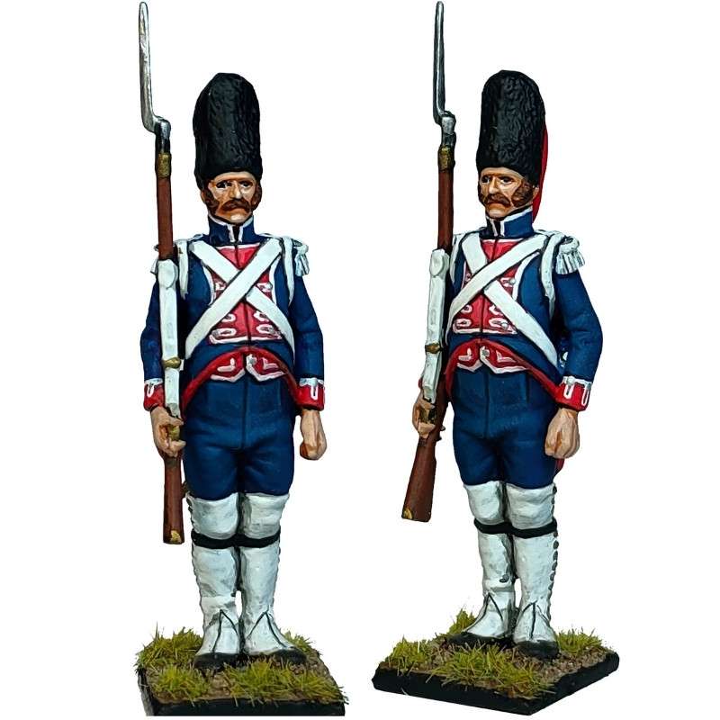 Sergeant Grenadiers of the Walloon Guards