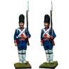 Grenadier at Attention of the Walloon Guards