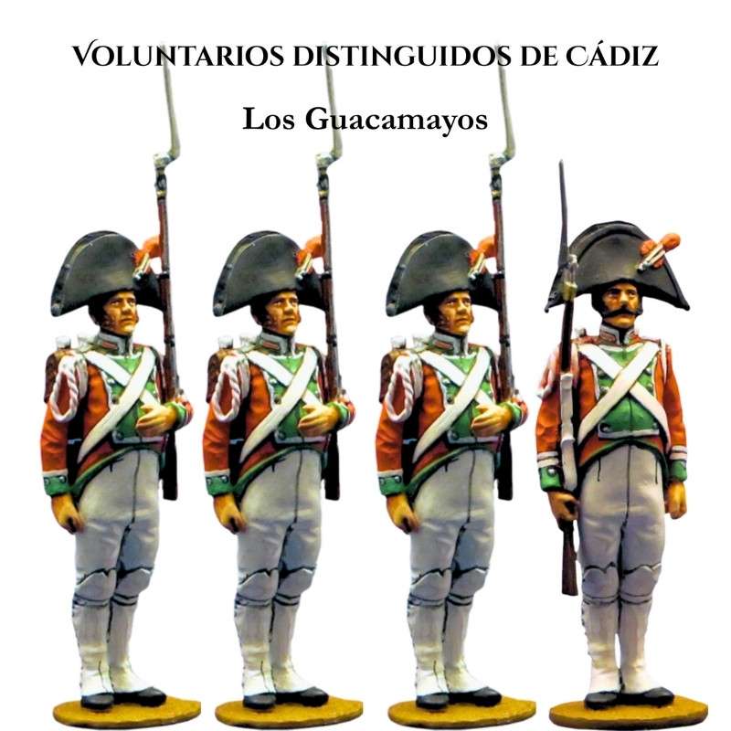 Cádiz distinguished volunteers Set 1