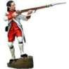 Navarra regiment