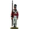 Regiment de Watteville Canada 1813 color sergeant