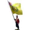 93rd Sutherland highlanders New Orleáns 1814 Bandera regimental