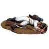 41st austrian infantry regiment Sachsen-Hildburghausen 1805 casualty