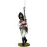 50th regiment Stein 1809 marching 1