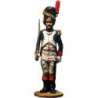 French imperial guard grenadiers Oficial