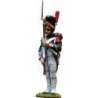 French imperial guard grenadiers Sargento uniforme gala