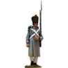 Line voltigeur greatcoat private 1