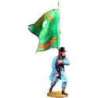 Bandera brigada irlandesa Fredericksburg